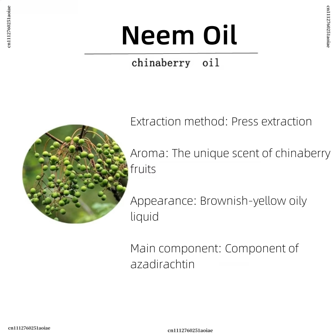 Olio di Neem Biologico - Olio  - Home Fragrance Organic recensione e prezzo