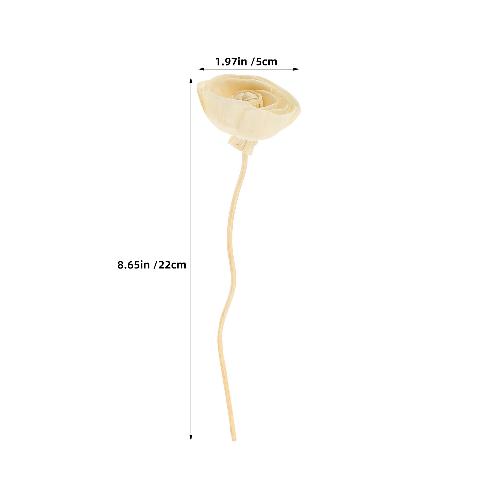 12 Bastoncini per Diffusore di - Home Fragrance Reed Diffuser recensione e prezzo
