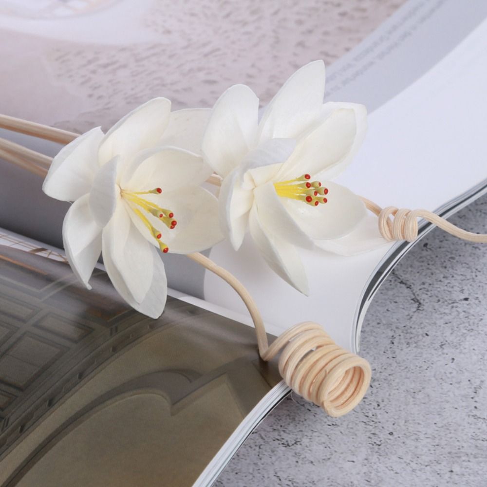 Bastoncini Diffusori di Fragra - Home Fragrance Incense recensione e prezzo