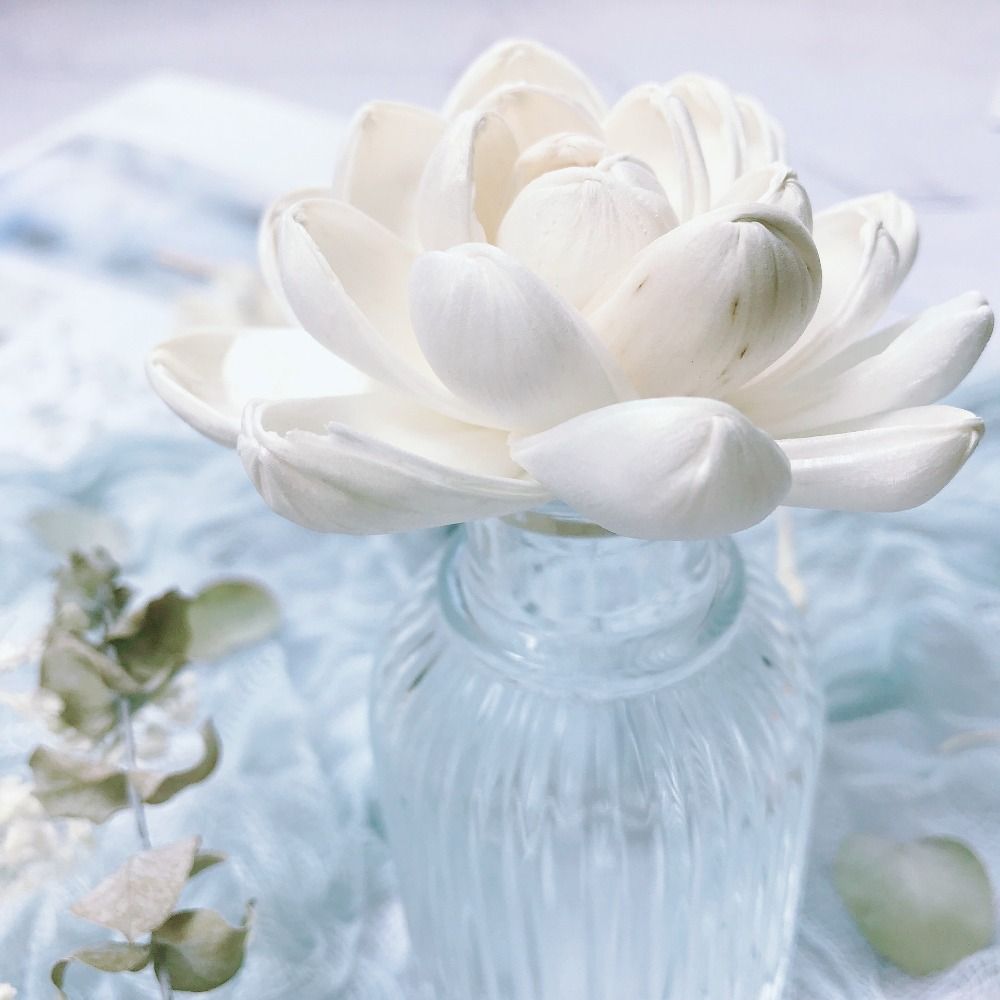 Diffusore di Fragranze a Forma - Home Fragrance Incense recensione e prezzo