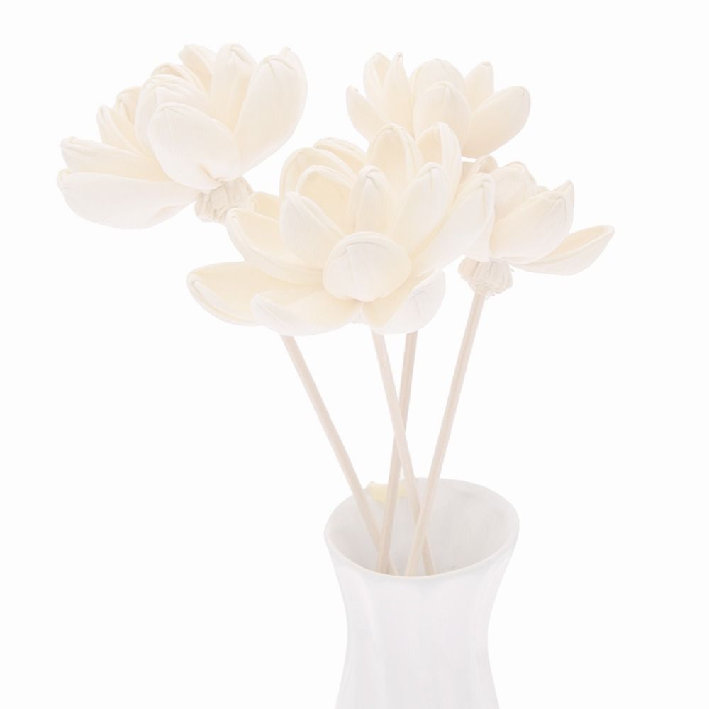 Diffusore di Fragranze a Forma - Home Fragrance Incense recensione e prezzo