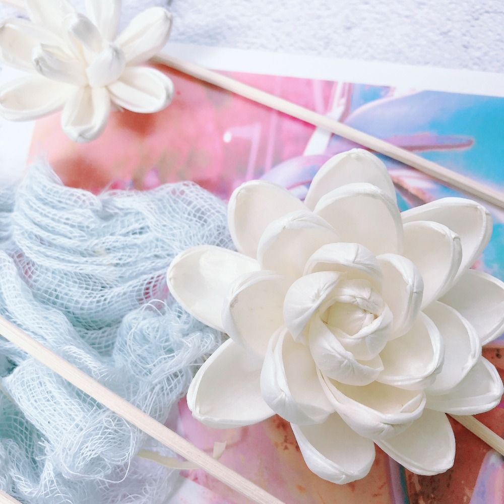 Diffusore di Fragranze a Forma - Home Fragrance Incense recensione e prezzo